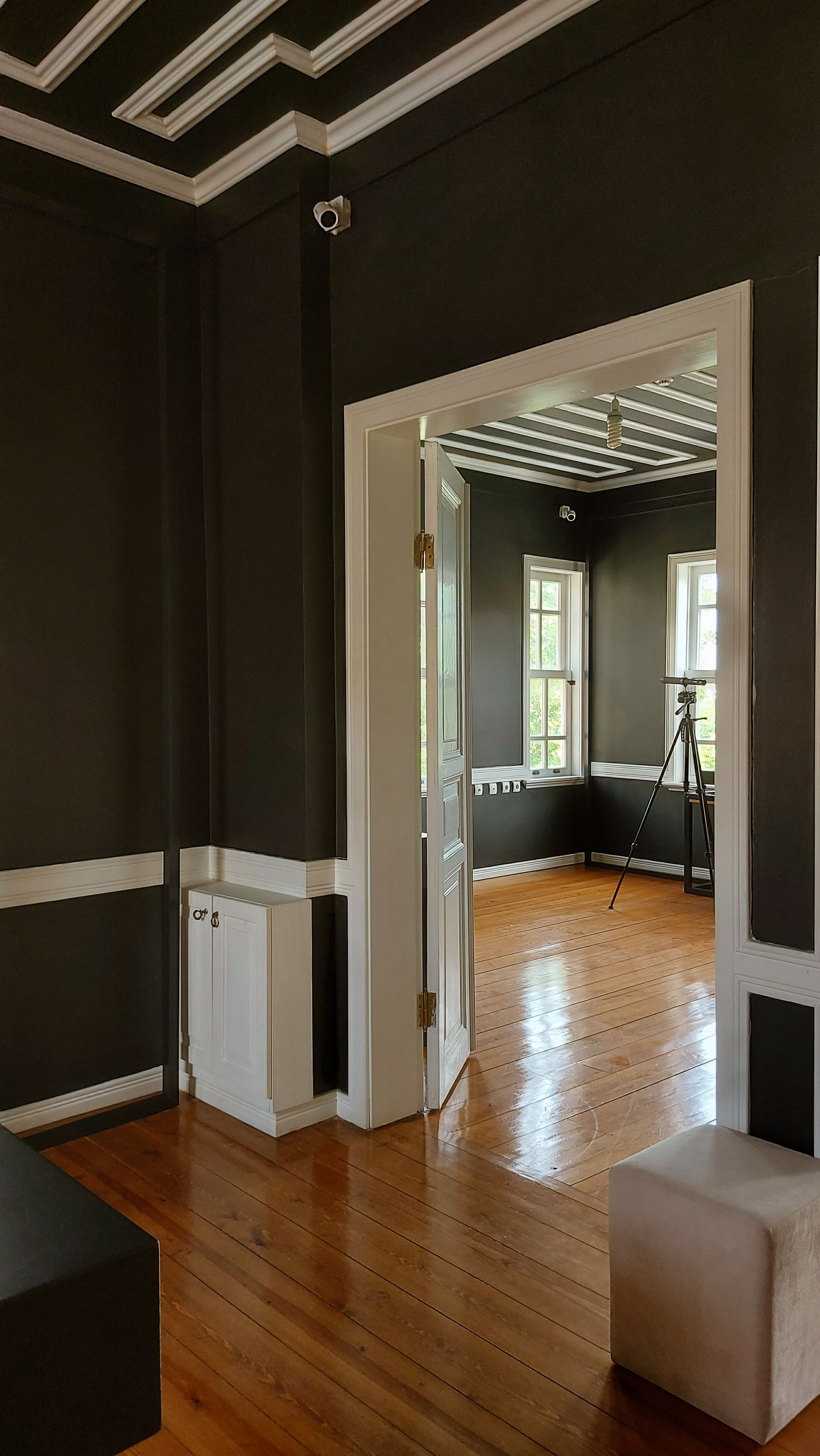 Interior room with wood flooring and wall molding